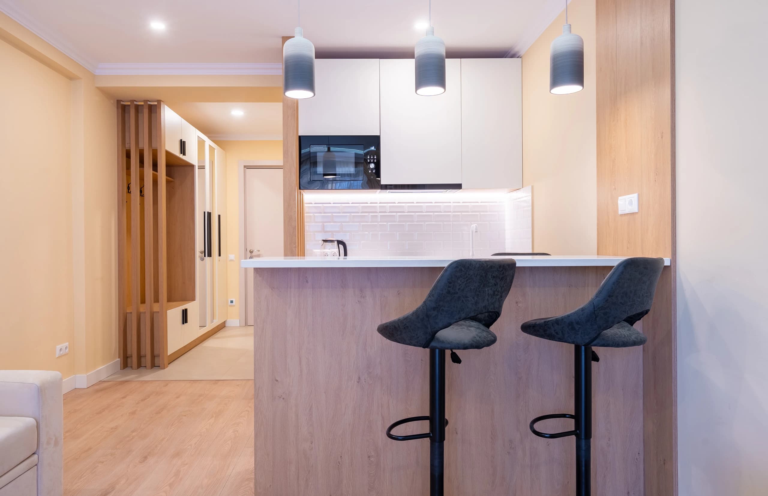 Deluxe One-Bedroom Apartment