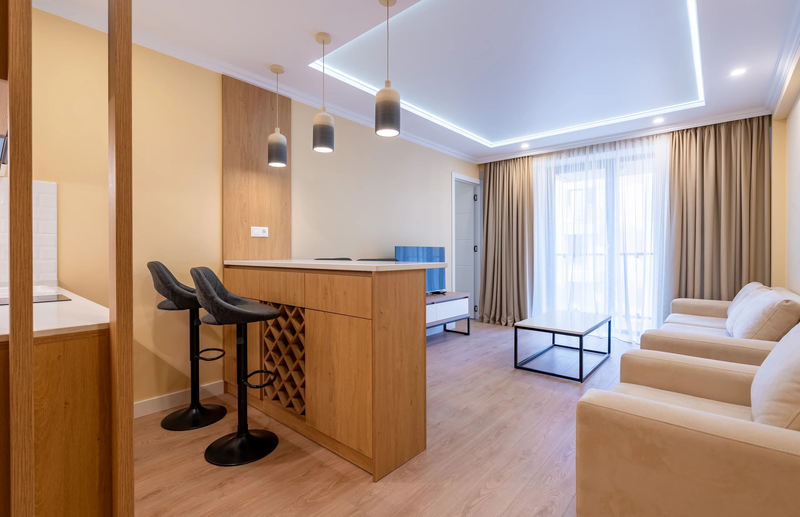 Deluxe One-Bedroom Apartment