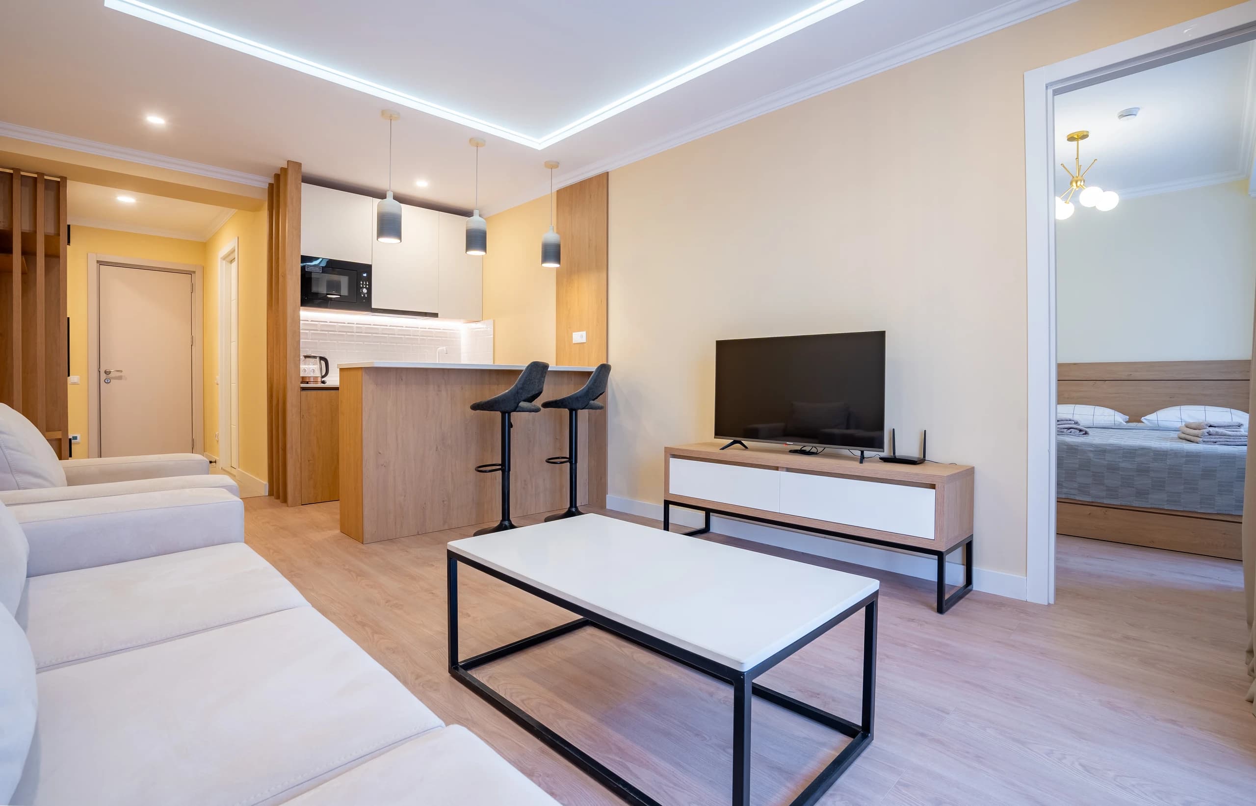 Deluxe One-Bedroom Apartment